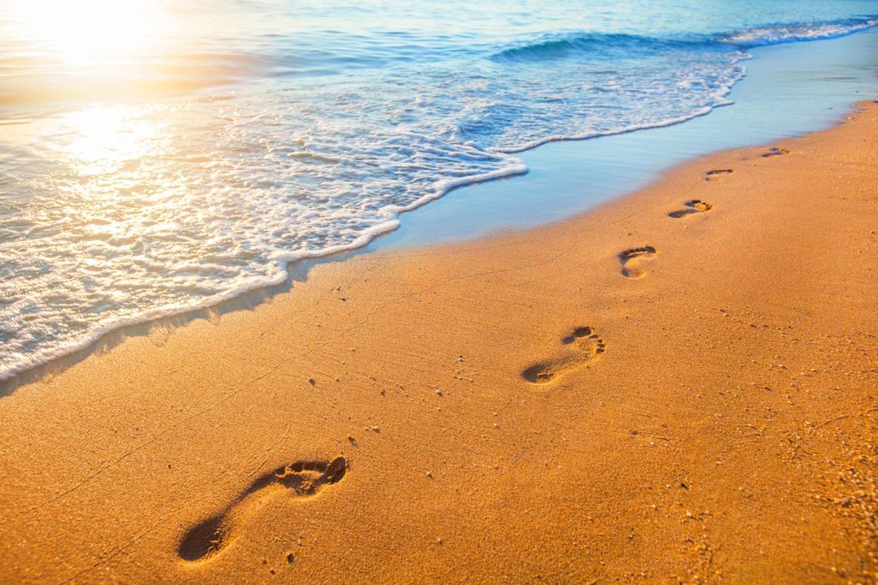 Beach Villa Home - Walk To Beaches Trails Restaurants Activities & More Half Moon Bay Bagian luar foto
